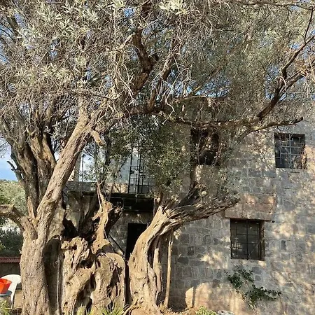 Villa Secret Garden Villas, Private Pool In Yalikavak